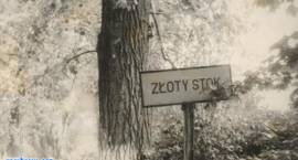 zdjęcie nr 14