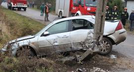 Rozbił się na słupie w Srebrnej