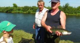 Dzienno-nocne zaowdy wedkarskie na rzece Narew