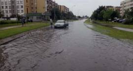 zdjęcie nr 23