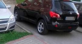 zdjęcie nr 10