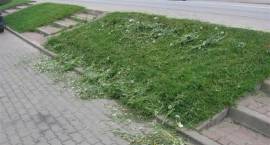 Samochody pobrudzone świeżo ciętą trawą wyrzucaną przez kosy spalinowe