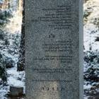 zdjęcie nr 14