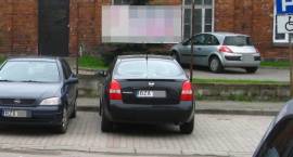 Fotka nr 4 z 6