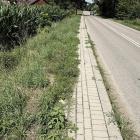 zdjęcie nr 16