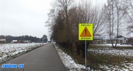 zdjęcie nr 8