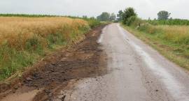 zdjęcie nr 7