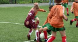 zdjęcie nr 10