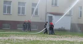 zdjęcie nr 15