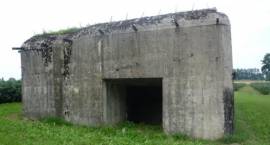 zdjęcie nr 32