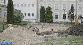 Fotka nr 3 z 16
