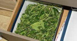 1,4 kg narkotyków znaleziono u czterech osób
