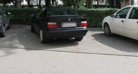 zdjęcie nr 8