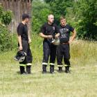 zdjęcie nr 42