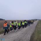 zdjęcie nr 13