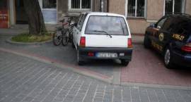 zdjęcie nr 13