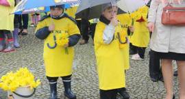 Akcja Pola Nadziei w Zambrowie w dn. 3 maja 2013.