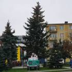 zdjęcie nr 7