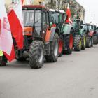 zdjęcie nr 89