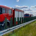 Fotka nr 5 z 8