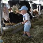 zdjęcie nr 23