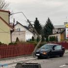 zdjęcie nr 7