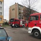 Fotka nr 4 z 8