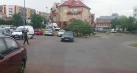 zdjęcie nr 11