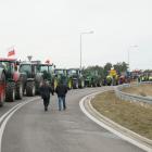 zdjęcie nr 103