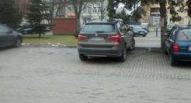 zdjęcie nr 7