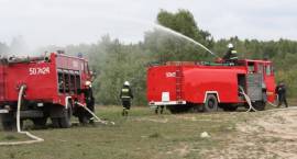 zdjęcie nr 26