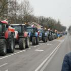 Fotka nr 1 z 117