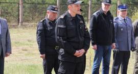 zdjęcie nr 11
