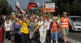 zdjęcie nr 14