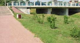 Park przy zalewie, widok w kierunku mostu, pod którym w 2006 roku będzie przejście...