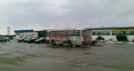 Autobus przy markecie Eden /Fot. Grzegorz Zawistowski
