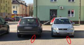 zdjęcie nr 14