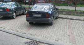 zdjęcie nr 9