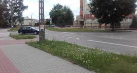 Fotka nr 2 z 20