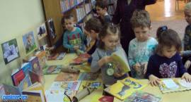Szare, bure i pstrokate… czyli koci świat w bibliotece