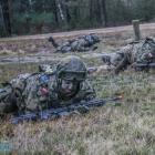 Fotka nr 2 z 8