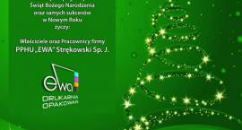 zdjęcie nr 7