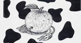 zdjęcie nr 21