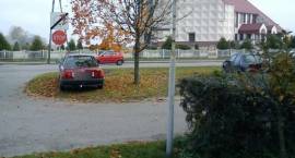 zdjęcie nr 8