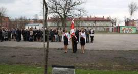 zdjęcie nr 12