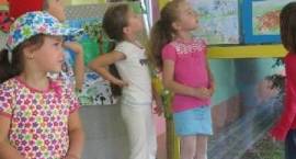 zdjęcie nr 7