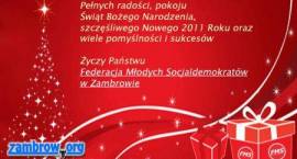 zdjęcie nr 9