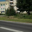 zdjęcie nr 14