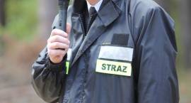 zdjęcie nr 37