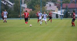 zdjęcie nr 7